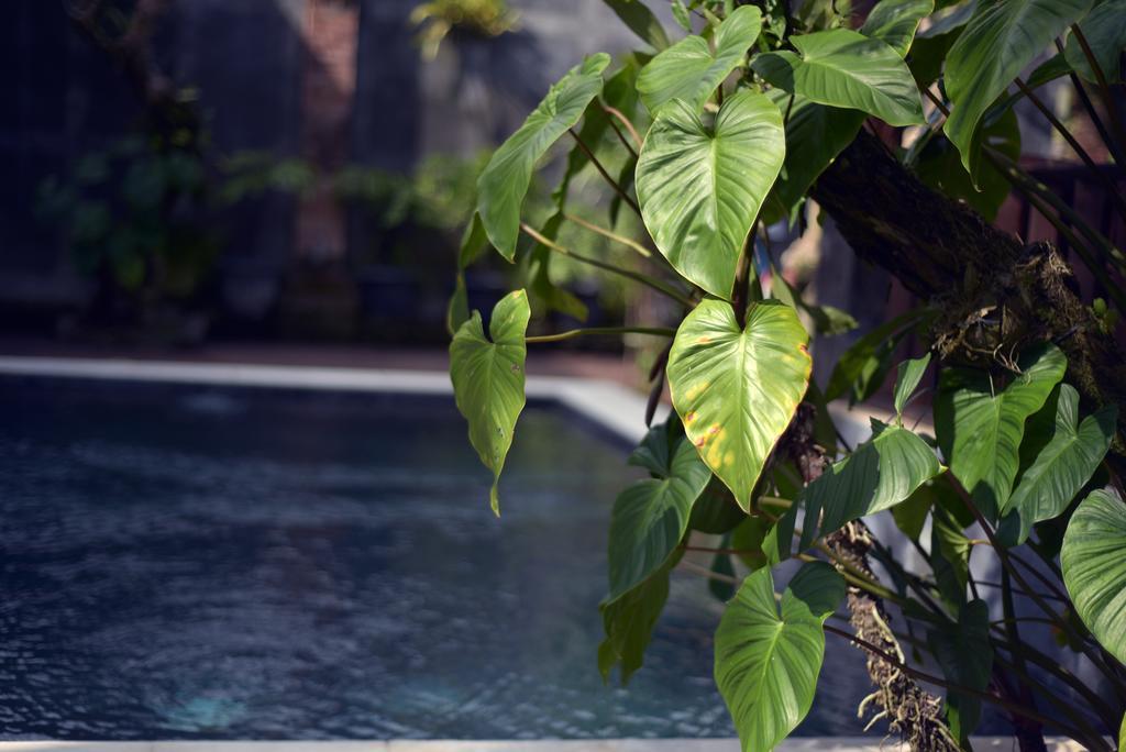 Wooden Villa By Prasi Ubud Kültér fotó